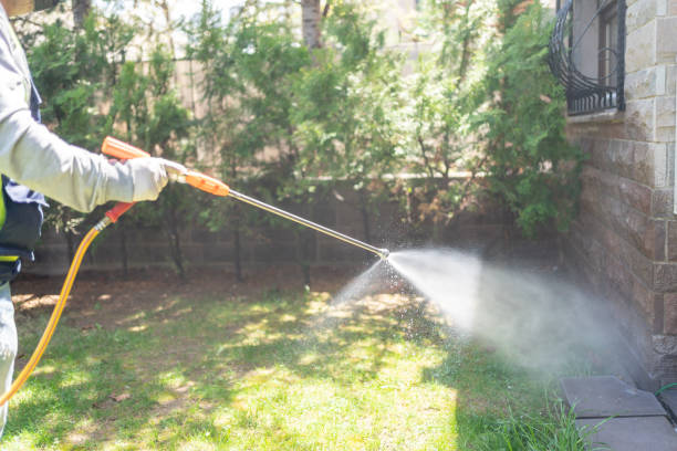 Seasonal Pest Control in Oakdale, CA